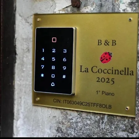 La Coccinella 2025 4* Naples