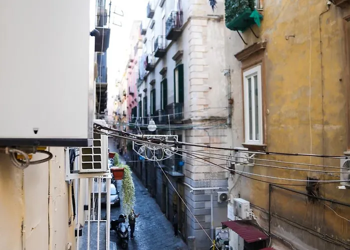 La Coccinella 2025 4*